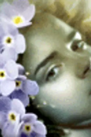 ปกนิยาย ความทรงจำที่ดีของมัลฟอยและเฮอร์ไมโอนี่