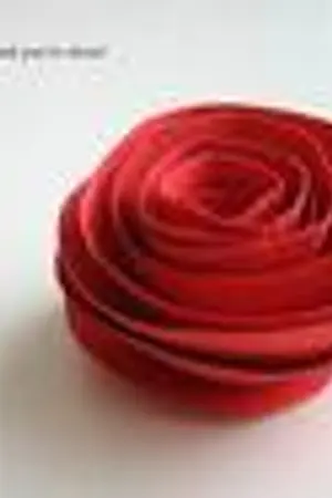 ปกนิยาย ตำนานบุปผา  ภาษาดอกไม้