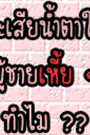 ปกนิยาย