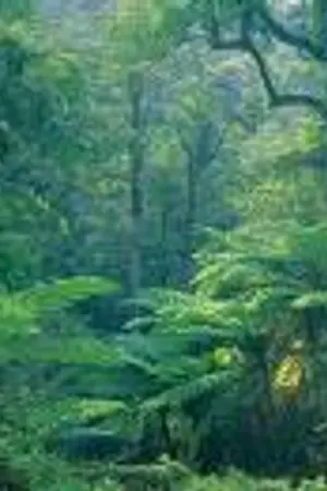 ปกนิยาย THE ORAZZ THE RAGE OF AROMADEVIL : ตำนานปีศาจดอกไม้ (S. 1)