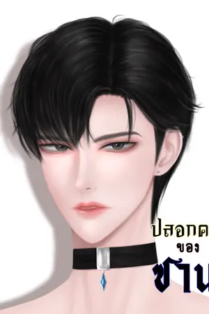 ปลอกคอของซาน