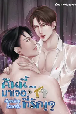 ปกอีบุ๊กเรื่อง คืนนี้...มาเจอกันหน่อยไหมครับที่รัก!?