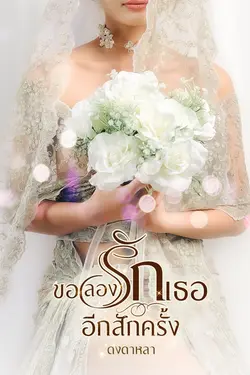 ปกอีบุ๊กเรื่อง ขอลองรักเธออีกสักครั้ง