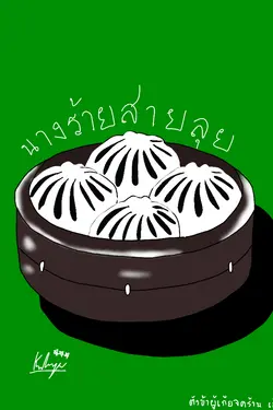 ปกอีบุ๊กเรื่อง นางร้ายสายลุย