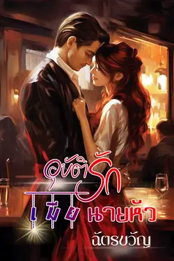 ปกนิยาย