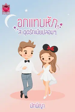 ปกนิยาย