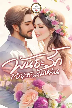 ปกนิยาย