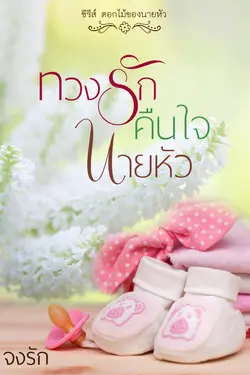 ปกนิยาย