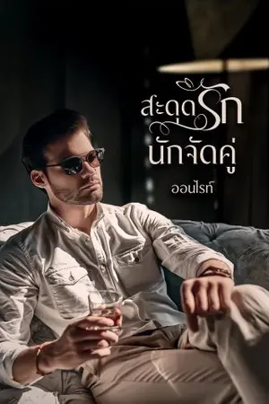 สะดุดรักนักจัดคู่