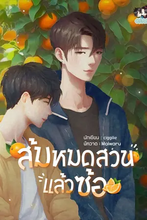 ส้มหมดสวนแล้วซ้อ