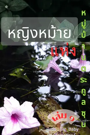 หญิงหม้ายแห่งหมู่บ้านตระกูลซุน เล่ม ๑