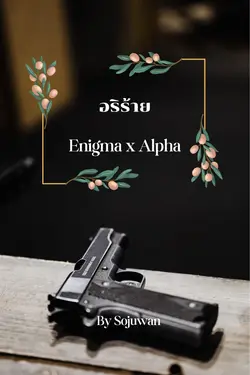 ปกอีบุ๊กเรื่อง อริร้าย  Enigma x Alpha