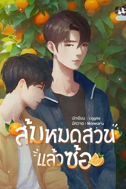 ปกอีบุ๊กเรื่อง ส้มหมดสวนแล้วซ้อ