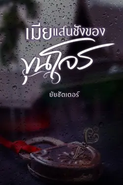 ปกนิยาย