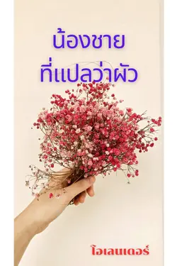 ปกอีบุ๊กเรื่อง น้องชายที่แปลว่าผัว