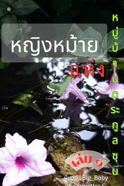 ปกอีบุ๊กเรื่อง หญิงหม้ายแห่งหมู่บ้านตระกูลซุน เล่ม ๑