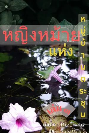 หญิงหม้ายแห่งหมู่บ้านตระกูลซุน เล่ม ๓ ( จบ )