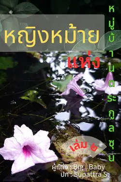 ปกอีบุ๊กเรื่อง หญิงหม้ายแห่งหมู่บ้านตระกูลซุน เล่ม ๒