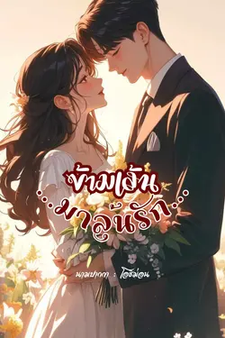 ปกนิยาย