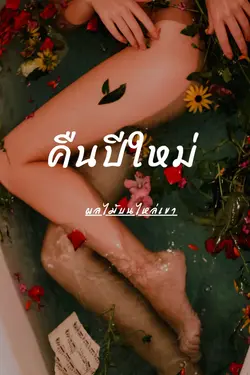 ปกอีบุ๊กเรื่อง คืนปีใหม่