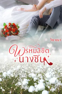 ปกอีบุ๊กเรื่อง พรหมลิขิตนางซิน