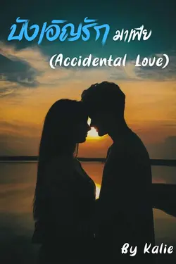 ปกอีบุ๊กเรื่อง บังเอิญรักมาเฟีย (Accidental Love)