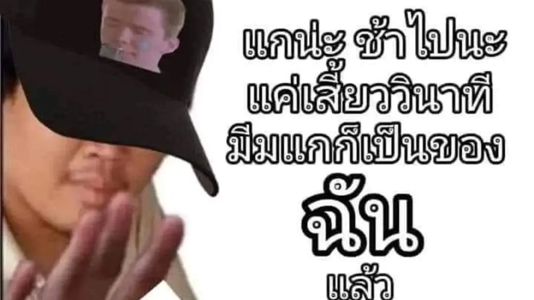 ปกคอลเล็กชัน Material