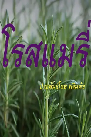 โรสแมรี่