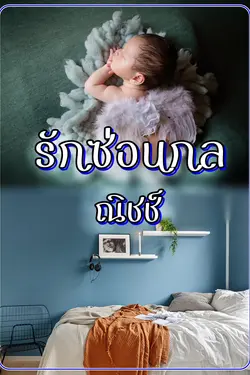 ปกอีบุ๊กเรื่อง รักซ่อนกล