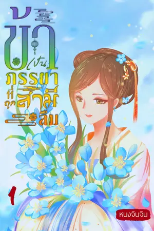 ข้าเป็นภรรยาที่ถูกสามีลืม เล่ม1