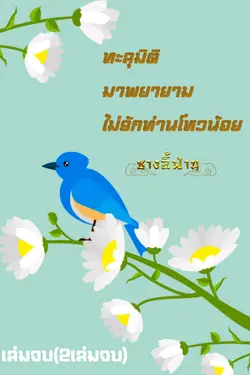 ปกนิยาย