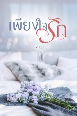 ปกนิยาย