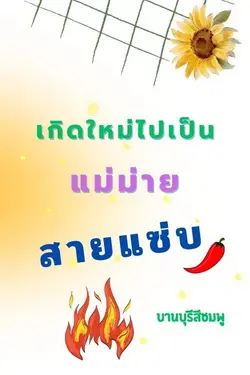 ปกนิยาย