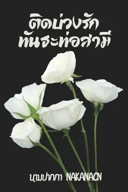 ปกนิยาย