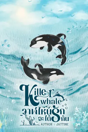 Killer whale วาฬไหนจะได้รักกัน 