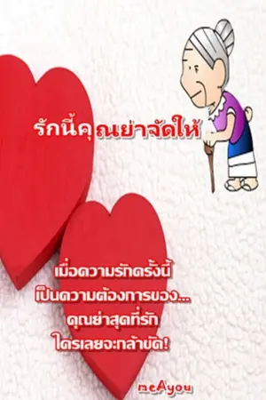 รักนี้คุณย่าจัดให้