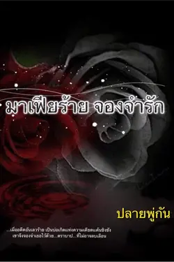 ปกนิยาย