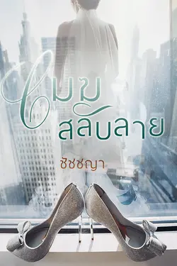 ปกอีบุ๊กเรื่อง เมฆสลับลาย