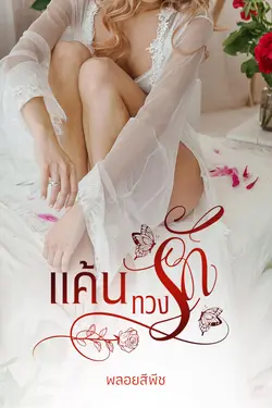 ปกนิยาย