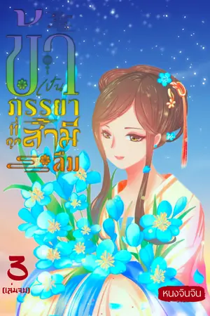 ข้าเป็นภรรยาที่ถูกสามีลืม เล่ม 3 (จบ)