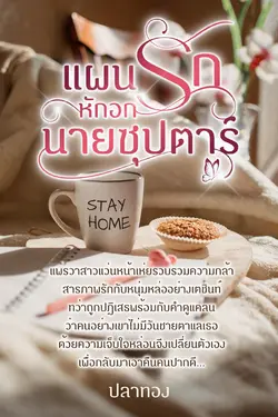 ปกอีบุ๊กเรื่อง แผนรักหักอกนายซุปตาร์