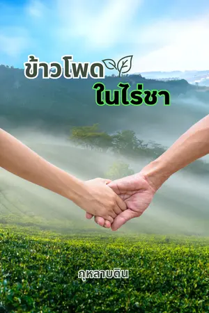 ข้าวโพดในไร่ชา (Mpreg)