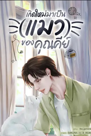 เกิดใหม่มาเป็น(แมว)ของคุณคีย์