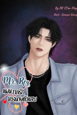 Mr. Ray แผนกลรักของนายตัวแสบ