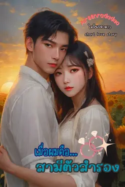 ปกนิยาย