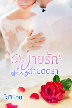 ปกนิยาย