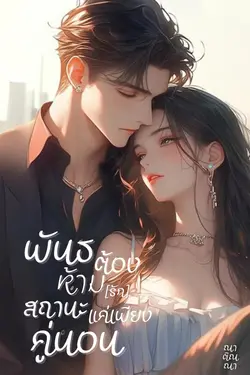 ปกนิยาย