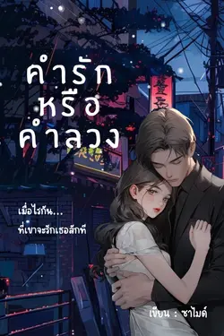 ปกนิยาย