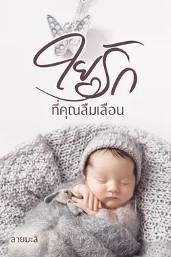 ปกอีบุ๊กเรื่อง ใยรักที่คุณลืมเลือน