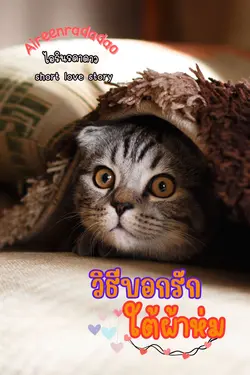 ปกนิยาย